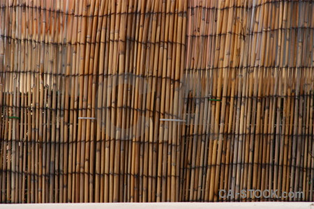 Nature texture wood stick bamboo.