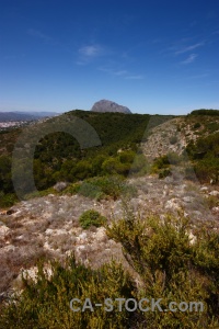 Nature tree javea europe sky.