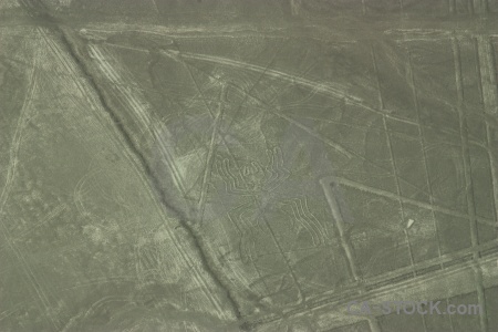 Nazca south america flying geoglyph insect.