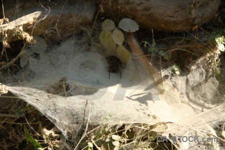 Nepal stone south asia modi khola valley web.