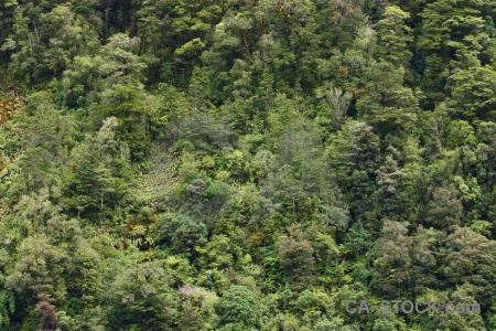 New zealand fiord fiordland doubtful sound texture.