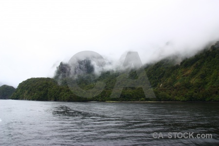 New zealand fiordland south island mountain tree.