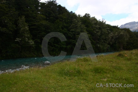 New zealand sky tree south island river.