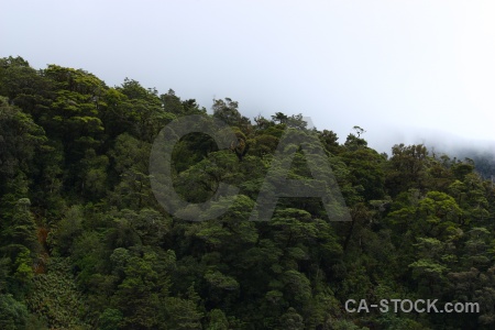 New zealand south island cloud doubtful sound fiordland.