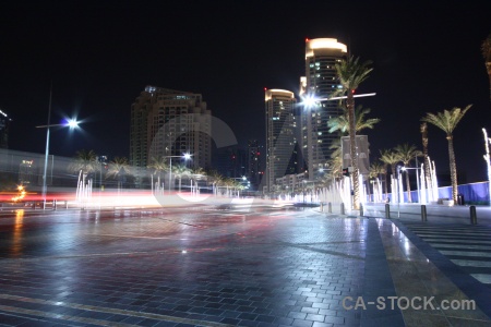 Night tower western asia dubai palm tree.