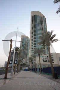 Palm tree path uae western asia building.