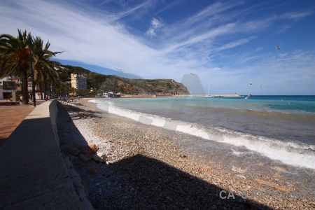 Palm tree wave europe stone javea.