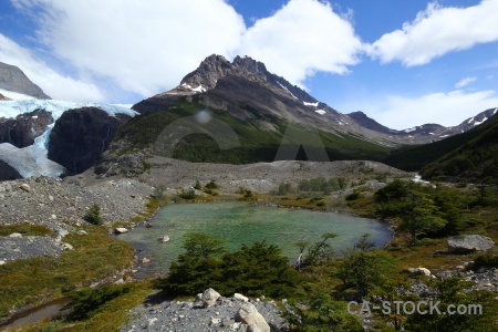 Patagonia cloud torres del paine trek tree.