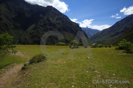 Patallaqta grass landscape tree south america.