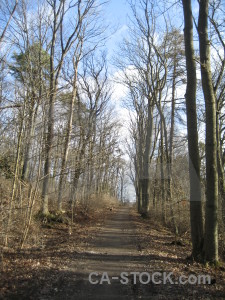 Path tree.