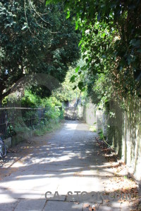 Path white green stair step.