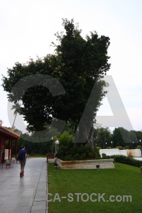 Person building tree unesco grass.