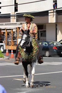 Person horse animal white.