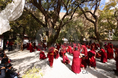 Person monk tibet lhasa tree.