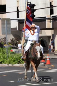 Person white animal horse green.