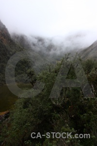 Peru fog inca tree cloud.
