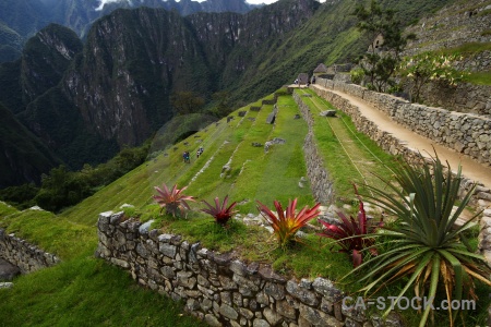 Peru inca trail altitude machu picchu grass.