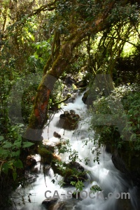 Peru river inca trail rio wayruru rock.