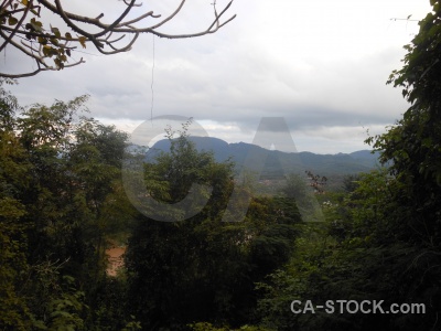 Phousi tree laos mount phou si mountain.