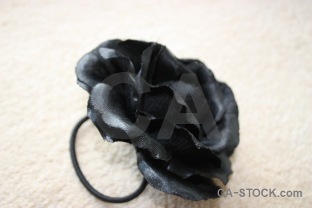 Plant flower rose silk white.