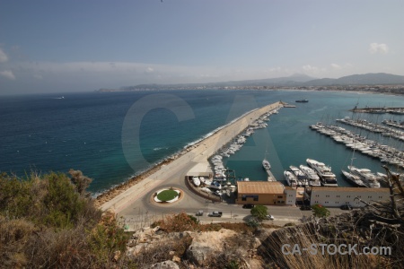 Plant javea europe vehicle harbour.