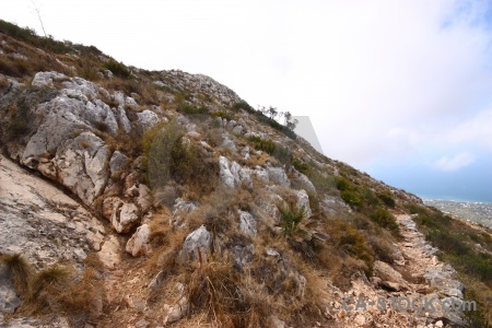 Plant javea montgo rock cloud.