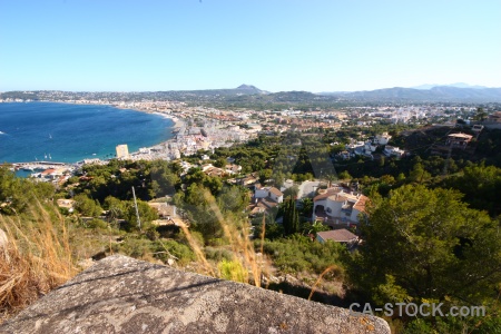 Plant javea water europe spain.