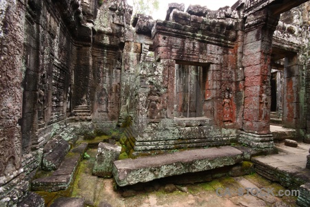 Plant lichen buddhist sky ruin.