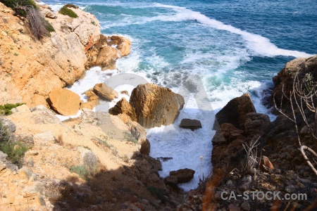 Plant rock europe sea spain.