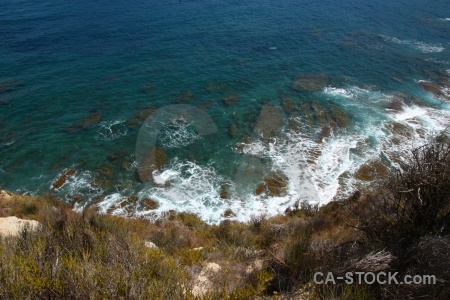 Plant sea spain javea water.