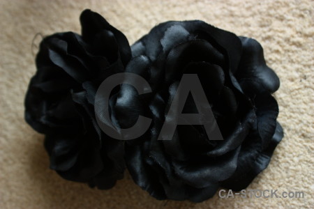 Plant silk black rose flower.