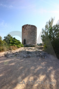 Plant spain javea europe sky.