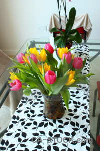 Plant tulip vase flower bouquet.