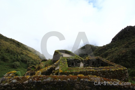 Puyupatamarca sky moss peru ruin.