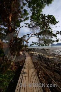 Railing rock tree water southeast asia.