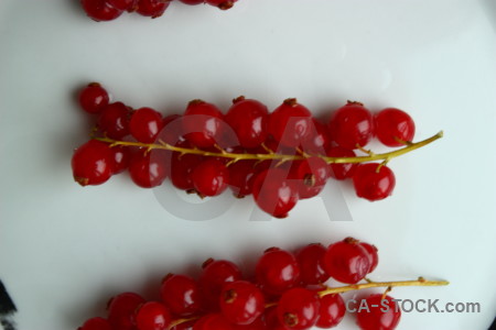 Red food white fruit berry.