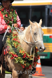 Red yellow horse green person.