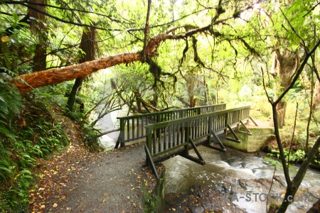 River bridge new zealand forest owaka.