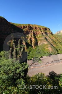 River cactus water south america valley.