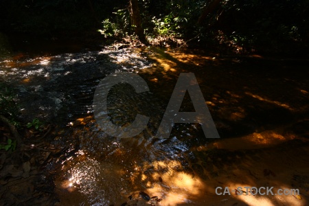 River cambodia tree asia southeast.