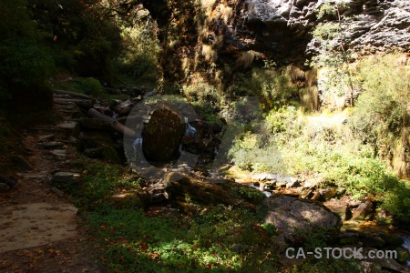 River forest nepal trek asia.