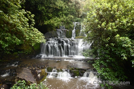 River new zealand purakaunui falls water tree.