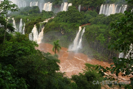 River waterfall iguacu falls tree spray.