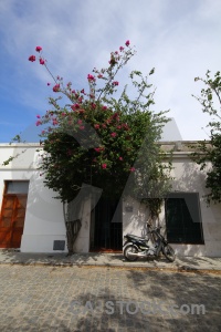 Road cloud motorbike unesco tree.