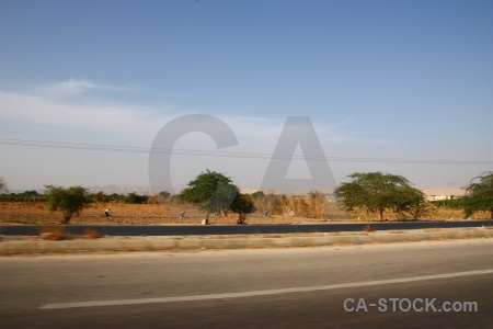 Road jordan tree western asia middle east.