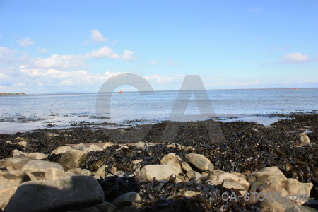 Rock coast landscape seaweed.