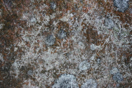 Rock gray texture stone.