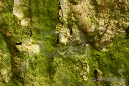 Rock green stone texture.