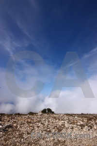 Rock plant montgo javea cloud.
