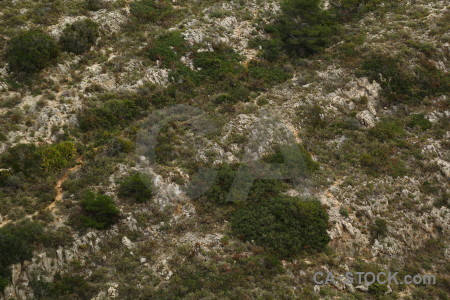 Rock texture green.